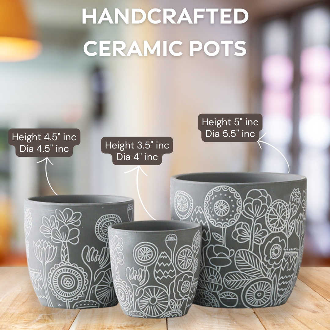 Hand-Painted Ceramic Pots Set 3 - Artisan Made Decorative Planters