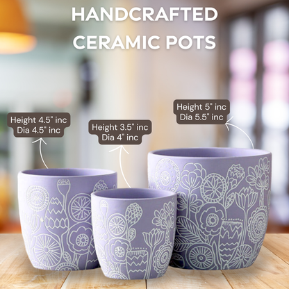 Hand-Painted Ceramic Pots Set 3 - Artisan Made Decorative Planters