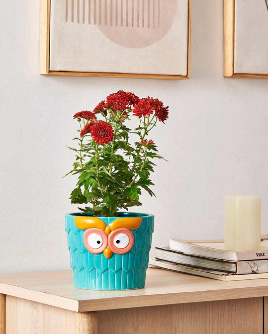 Charming Owl Face Resin Pot - HomifyArt