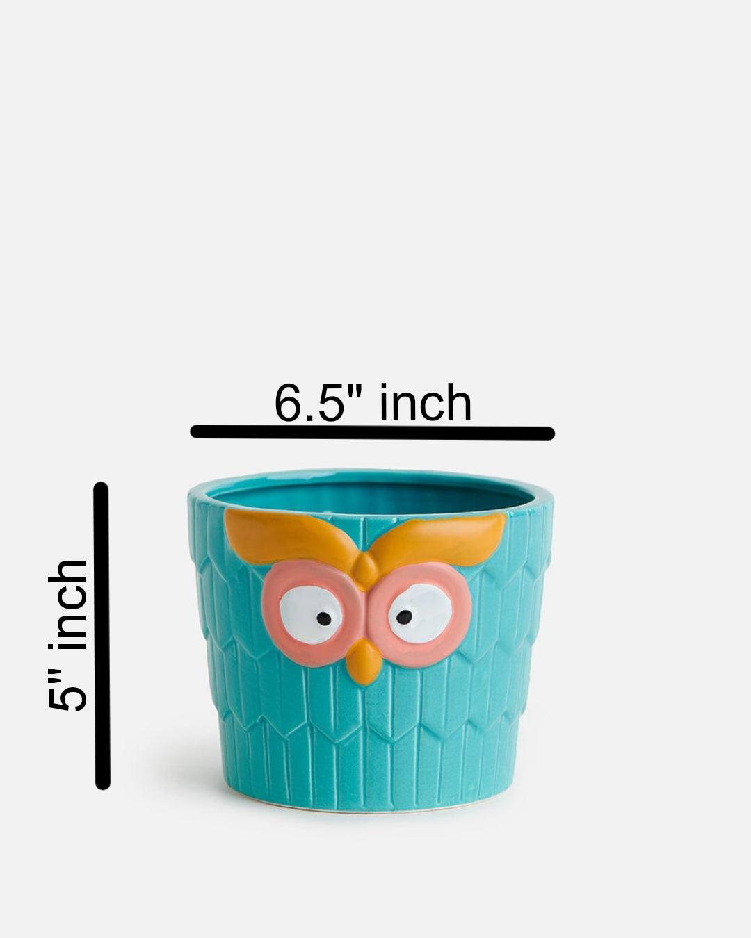 Owl Face Planter